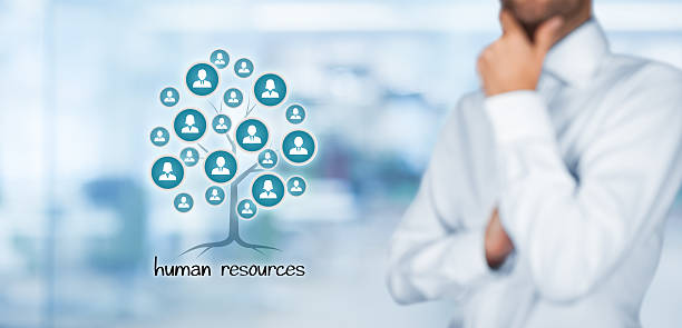 Why Washington DC Organizations Choose BUAMS HR